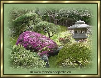 Jardin japonais