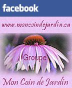 Groupe Facebook MCDJ