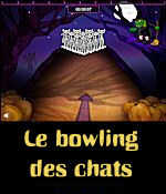 Cat Bowling