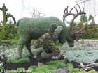 L�gende du caribou