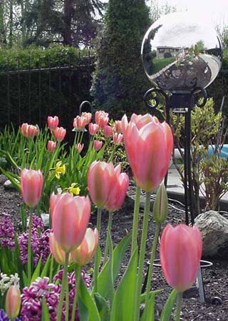 Tulipes, jacinthes, jonquilles