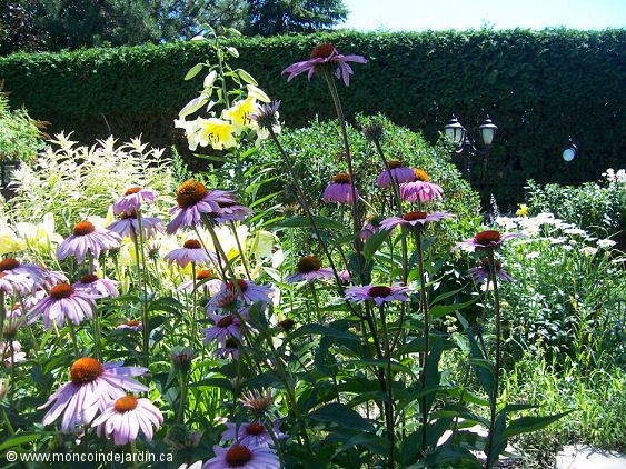  Mon Coin de Jardin