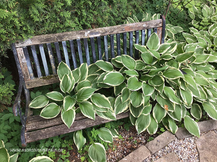 Mon Coin de Jardin