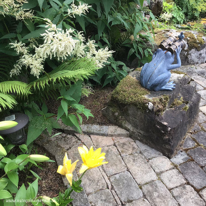  Mon Coin de Jardin