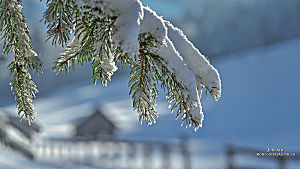 Hiver