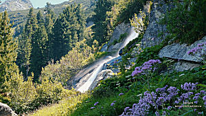 Paysages