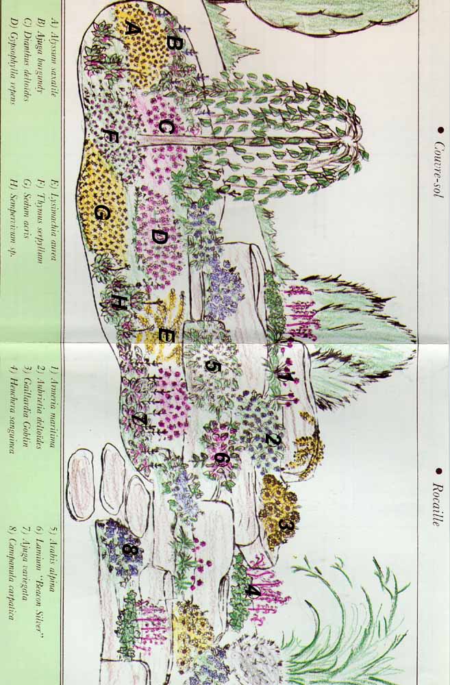 plan rocaille