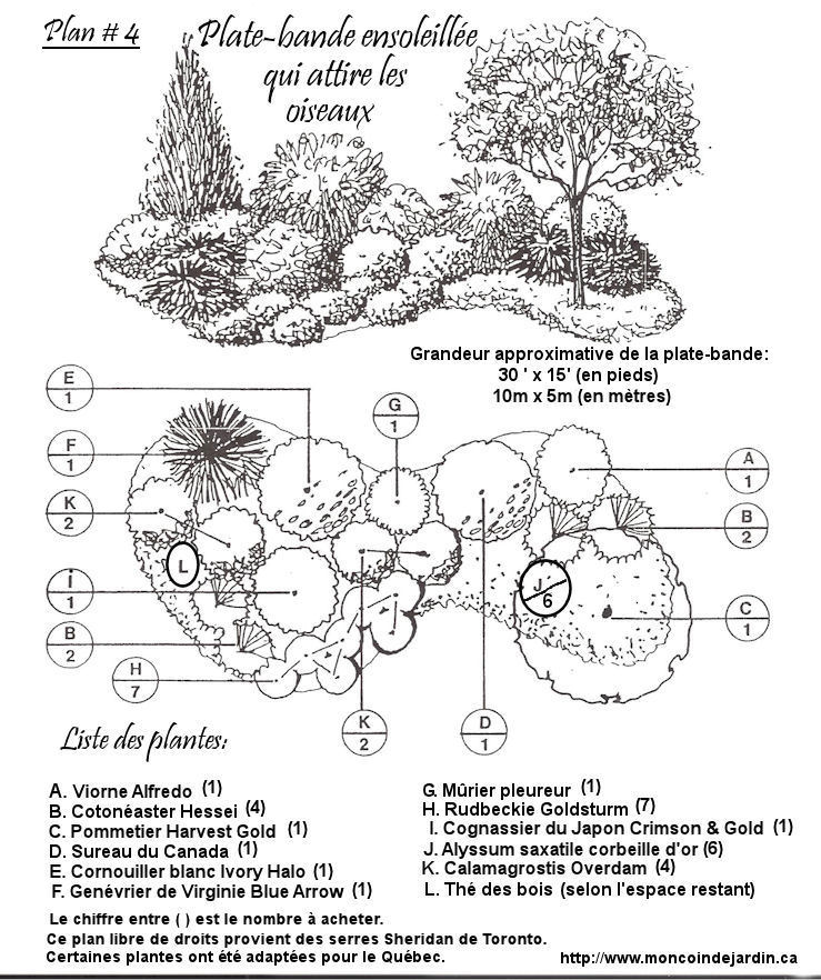 plan ensoleill/oiseaux