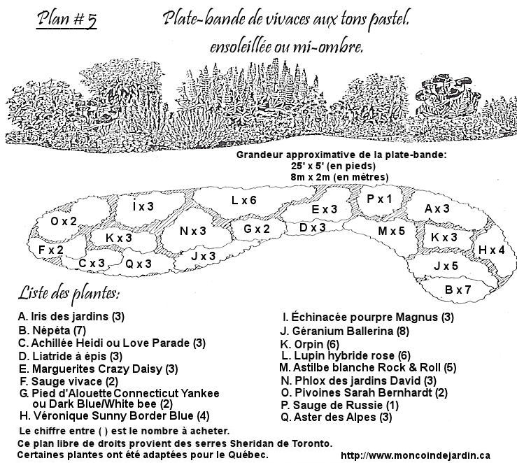 plan vivaces pastel