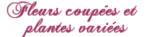 fleurs coupes/varies