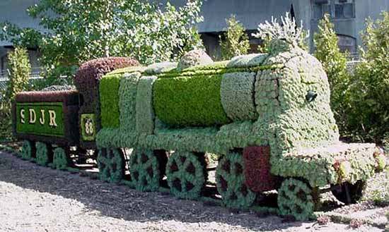Locomotive S.D.J.R.